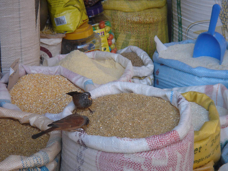 due foto dal marocco